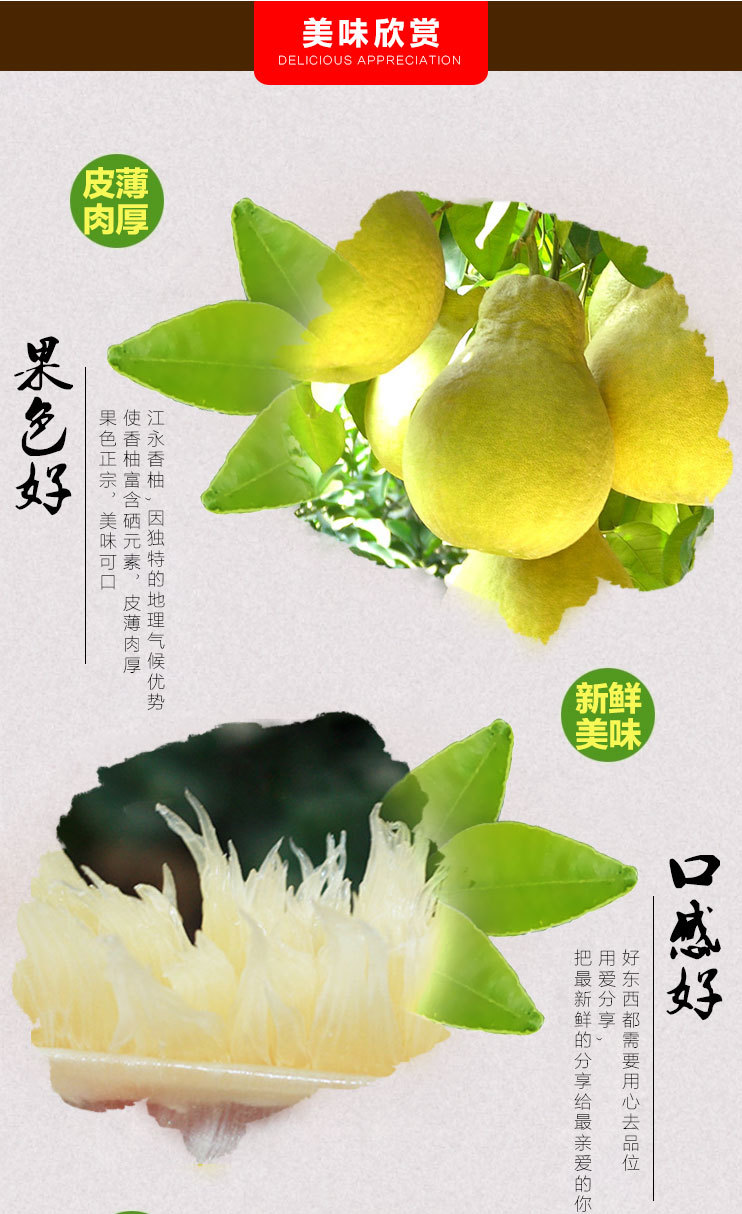 湖南特产江永香柚农家自种富硒沙田柚批发新鲜水果老树柚子10斤装