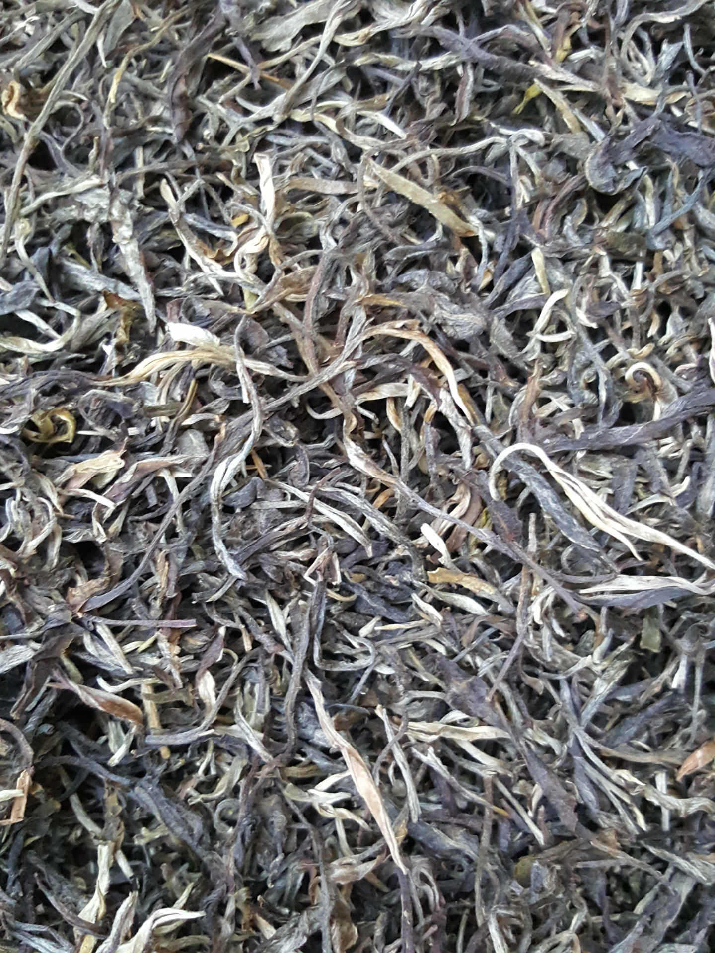 云南帝益普洱茶八子饼800年古树银毫茶王饼357克高山古树乔木纯料