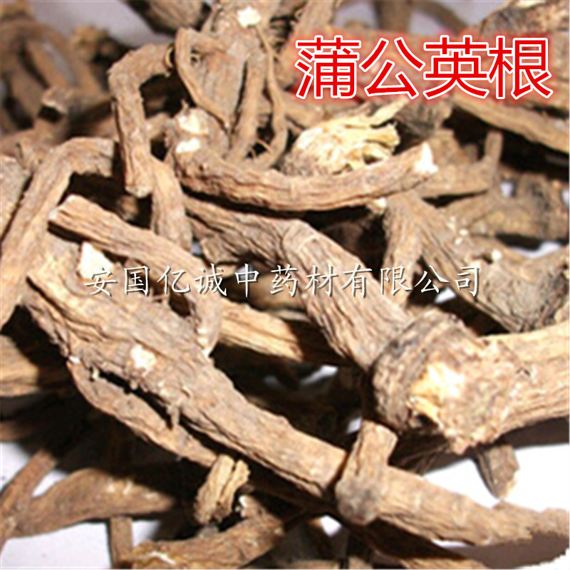 西工大蒲公英_西工大蒲公英供应商_西工大蒲