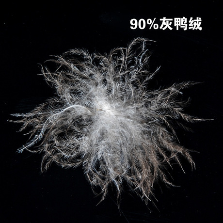 90%灰鸭绒 羽绒服标准填充物 绒朵大 蓬松好 厂家批发 一公斤发货