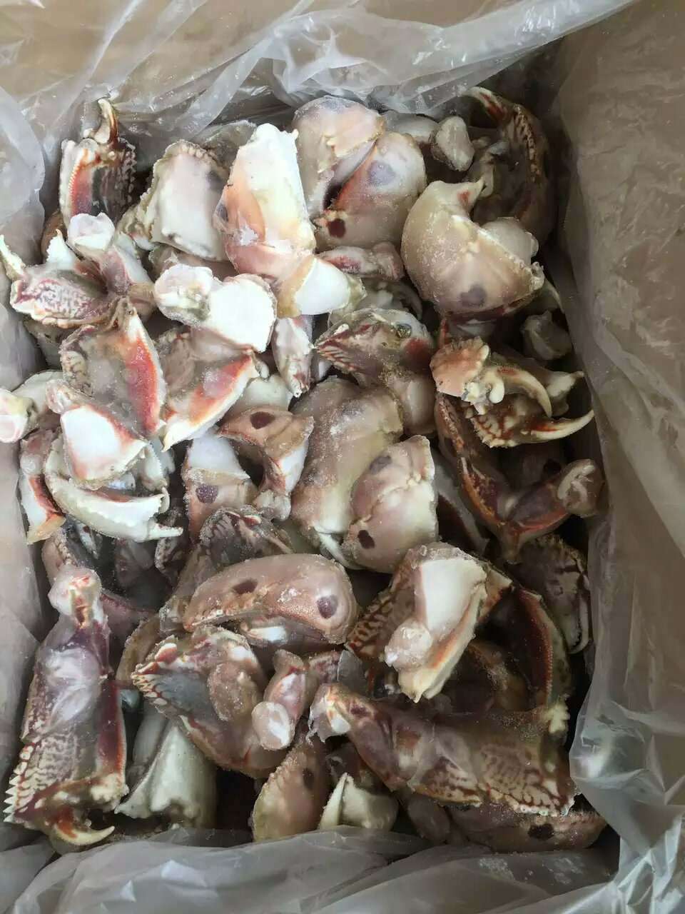 家之宴 海鲜 新鲜冷冻 元宝蟹脚 馒头蟹腿 面包蟹,珍宝蟹钳