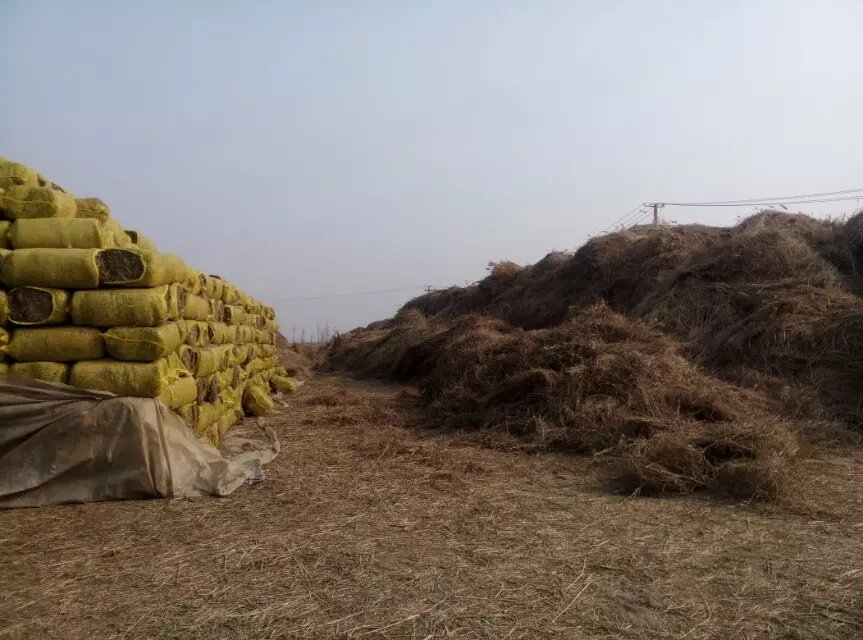 瑞昌直销各种优质草料 牛羊专用草饲料 降低成提高奶肉质量