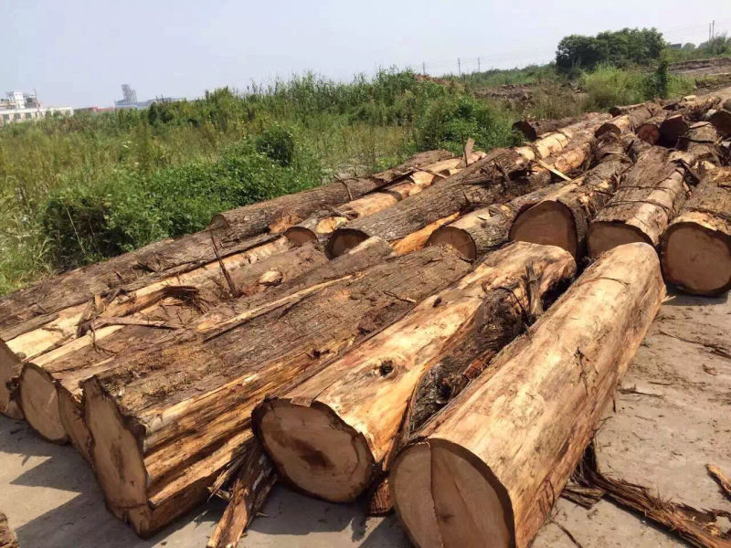木材原木_香柏木一手货源精品方料木材原木板材 - 阿里巴巴