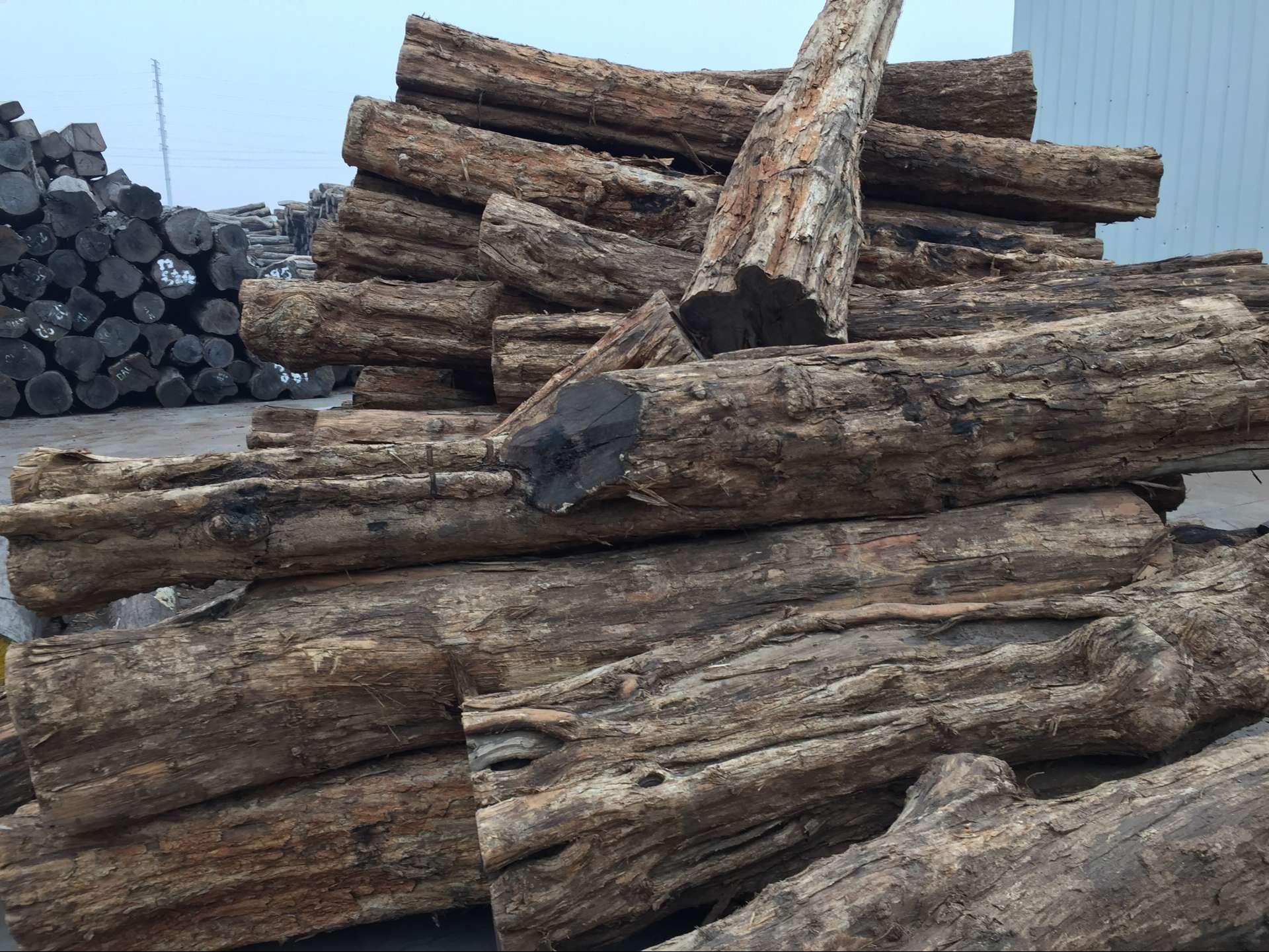 非洲紫光檀 (乌木) 高级家具材