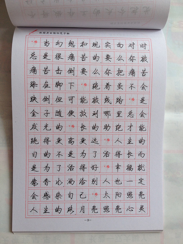 中国名家书法 学生成人练字钢笔字帖罗扬新时尚行书字帖批发