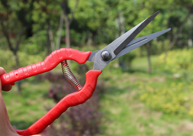直头疏花剪 尖头剪 疏果剪 稀果剪 采摘剪 葡萄剪 果把剪