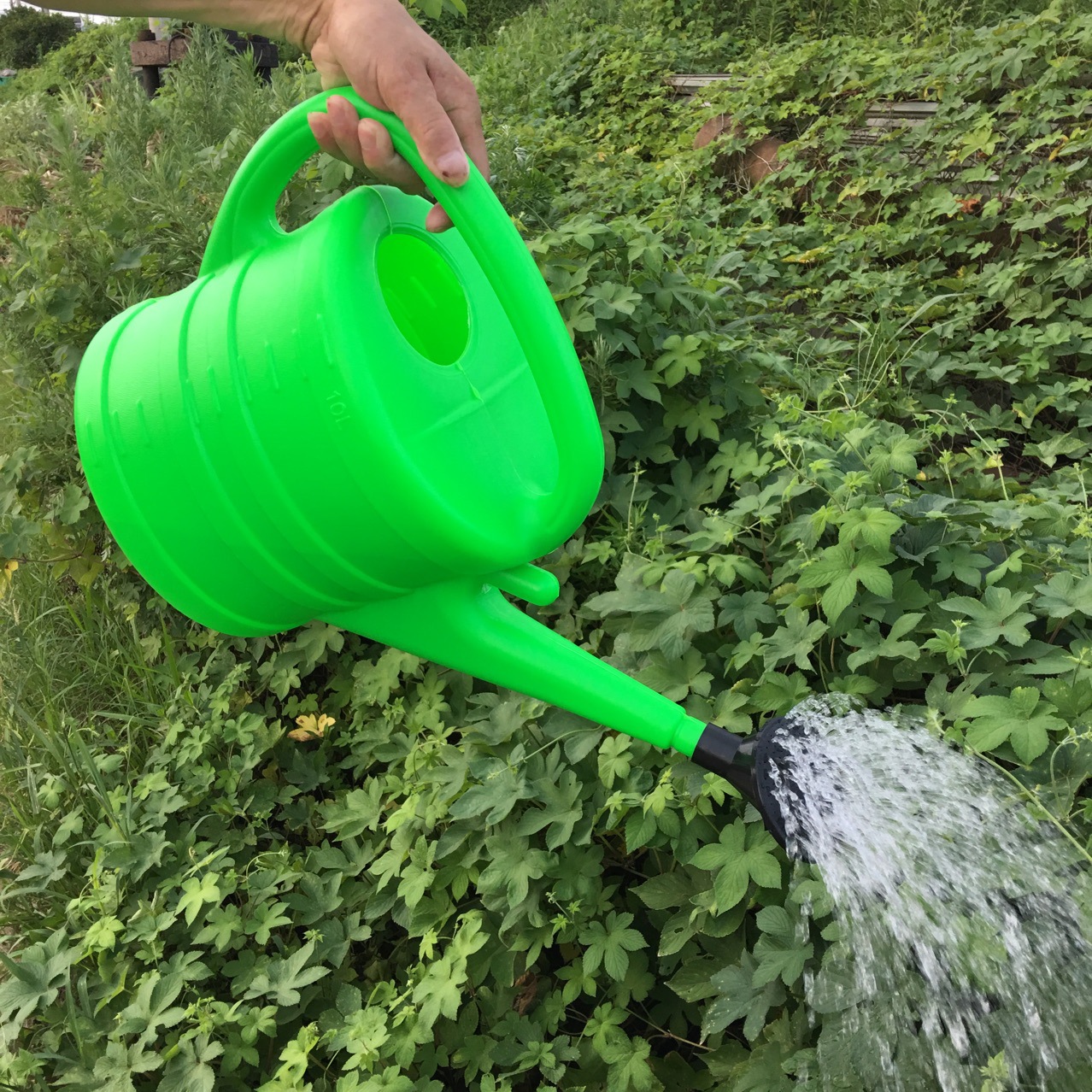 厂家直销农业工具加厚塑料10l洒水壶长嘴淋花浇水花洒器批发