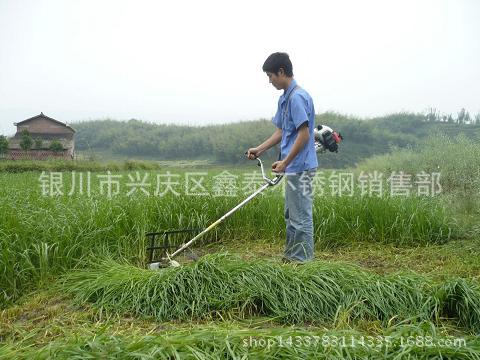 热销高效率背负式除草机   多功能农用侧挂除草割草机