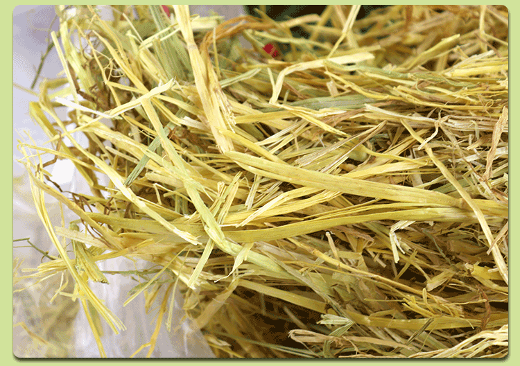 2019年新澳洲黄金燕麦草宠物牧草4.5/斤1包28kg起批一区多省包邮