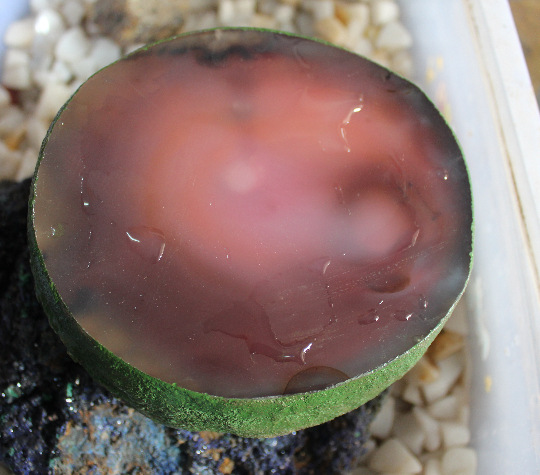 产品名称:玛瑙水胆摆件 产品材质:天然水胆玛瑙 原料