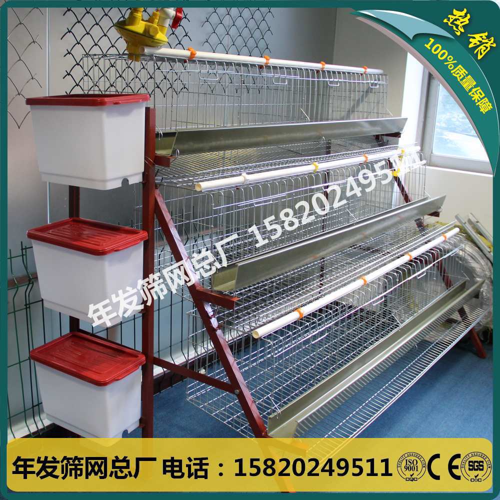 广州蛋鸡笼出口装柜 三层四门阶梯式养殖蛋鸡铁丝网笼具