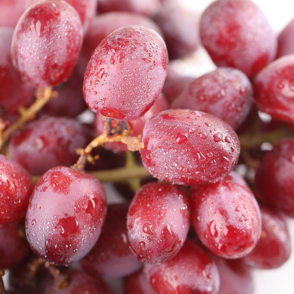 恩施大胜生态农业有限公司