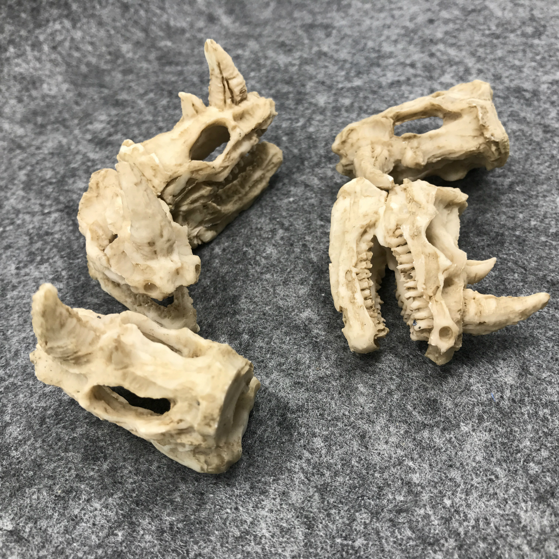 迷你犀牛头骨 仿真小型头骨爬虫蜘蛛饲养箱 鱼缸造景装饰