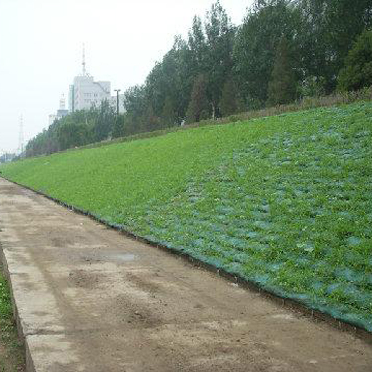 正泽现货供应边坡防护三维植被网 绿化护坡植草三维网 植被网