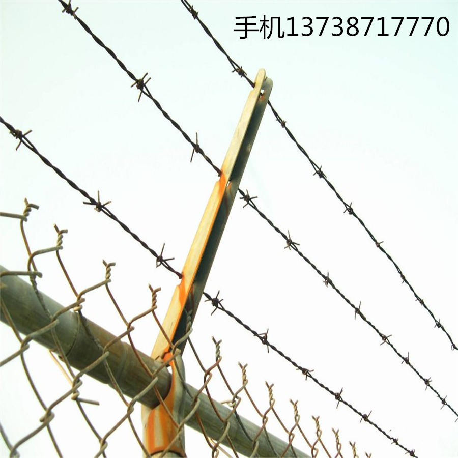厂家销售热镀锌刺网刺绳防爬网浸塑刺绳刺绳护栏网可定做