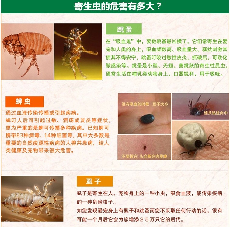 灭虫宁体外驱虫滴剂去跳蚤蜱虫宠物杀虫剂猫狗用除虫滴剂