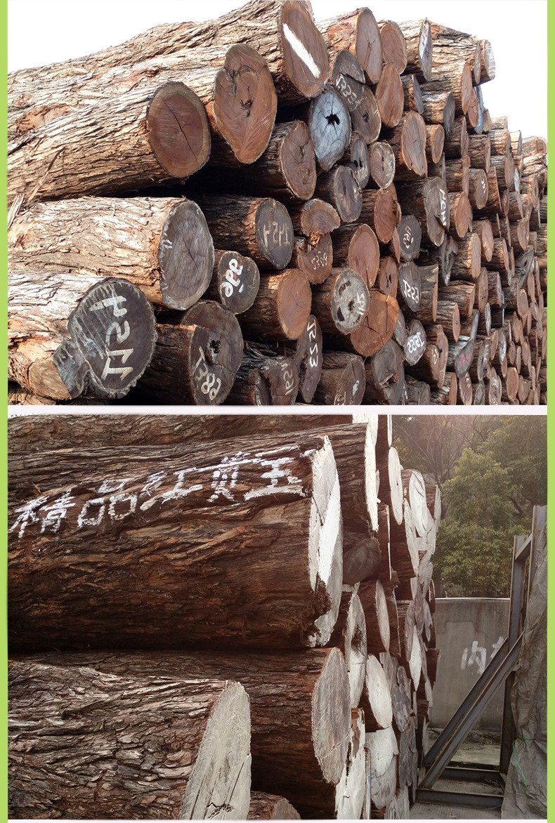 供应加蓬进口红贵宝原木 家具工艺品进口红贵宝原木木料厂家批发