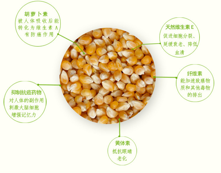 厂家长期大量供应抗旱抗病玉米种子批发