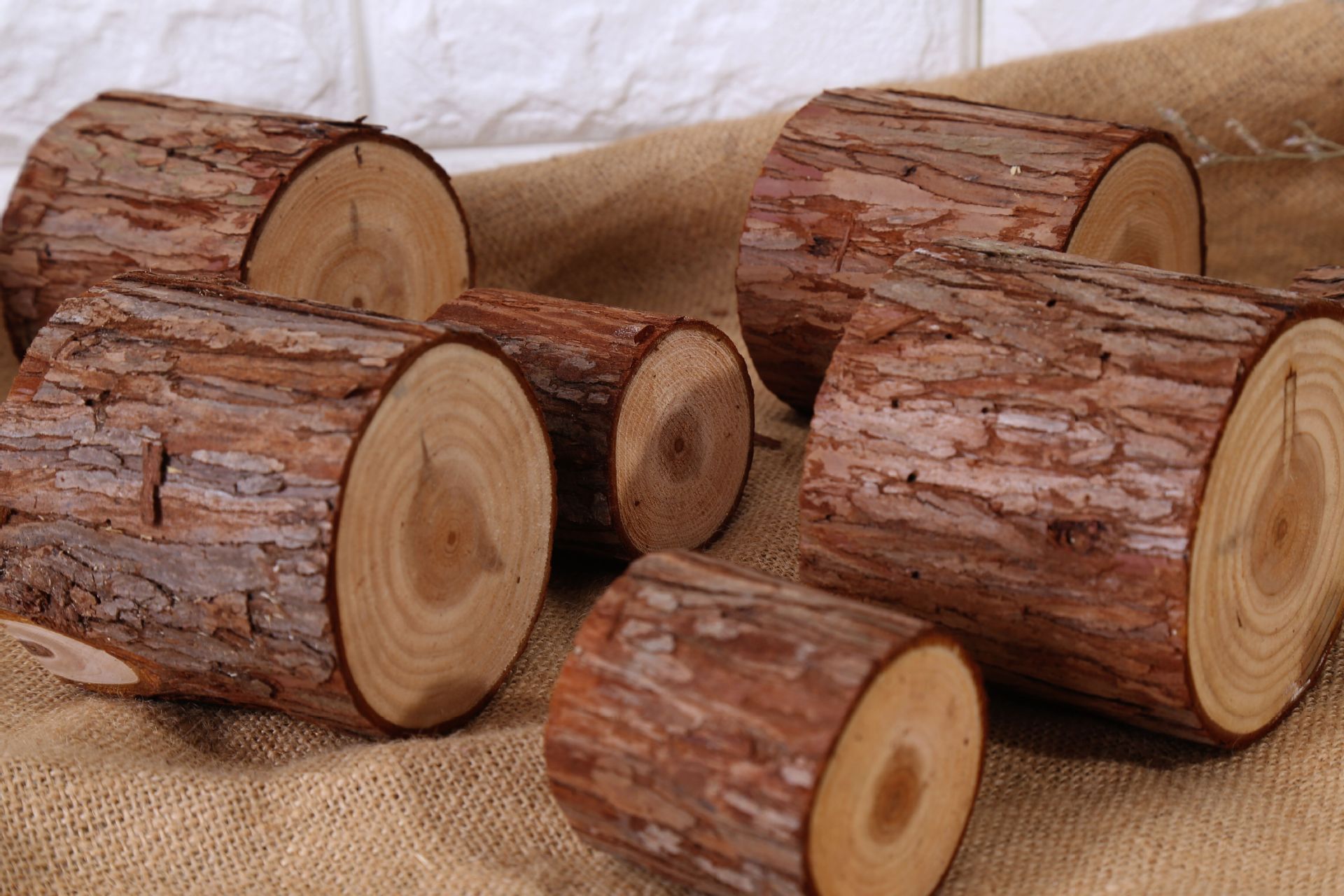 天然杉木 木桩 摆件 壁饰 实木装饰品道具