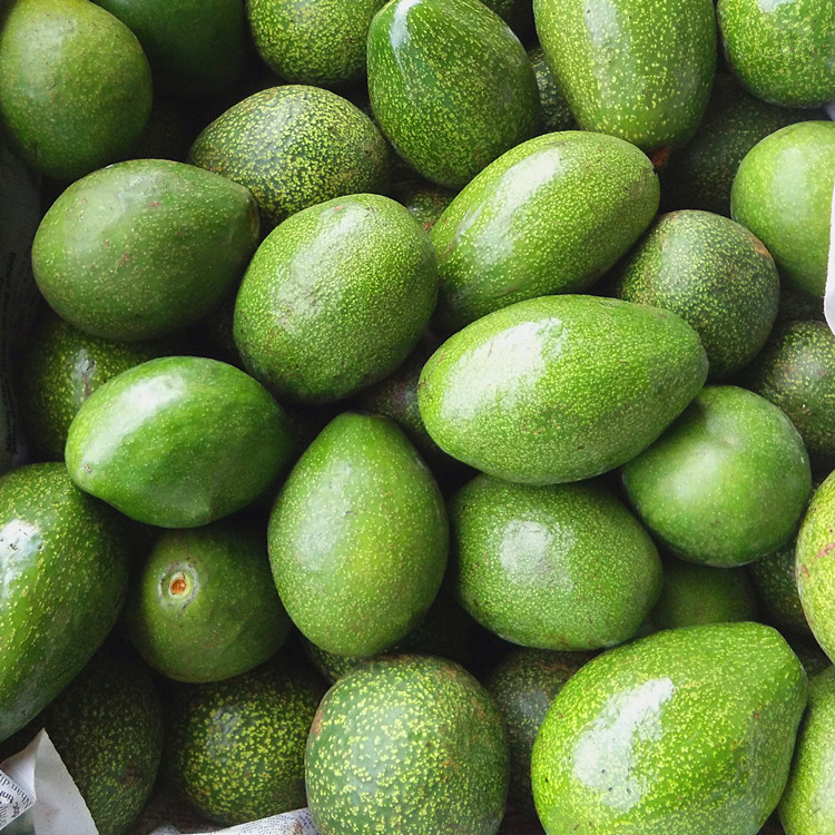 越南进口牛油果批发 鳄梨新鲜水果批发 宝宝辅食樟梨油梨 热带果