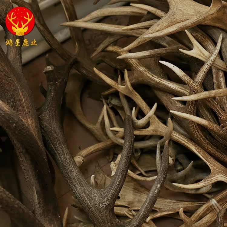 鹿场直供东北特产双阳产地直销马鹿角鹿干角宠物狗磨牙棒材料