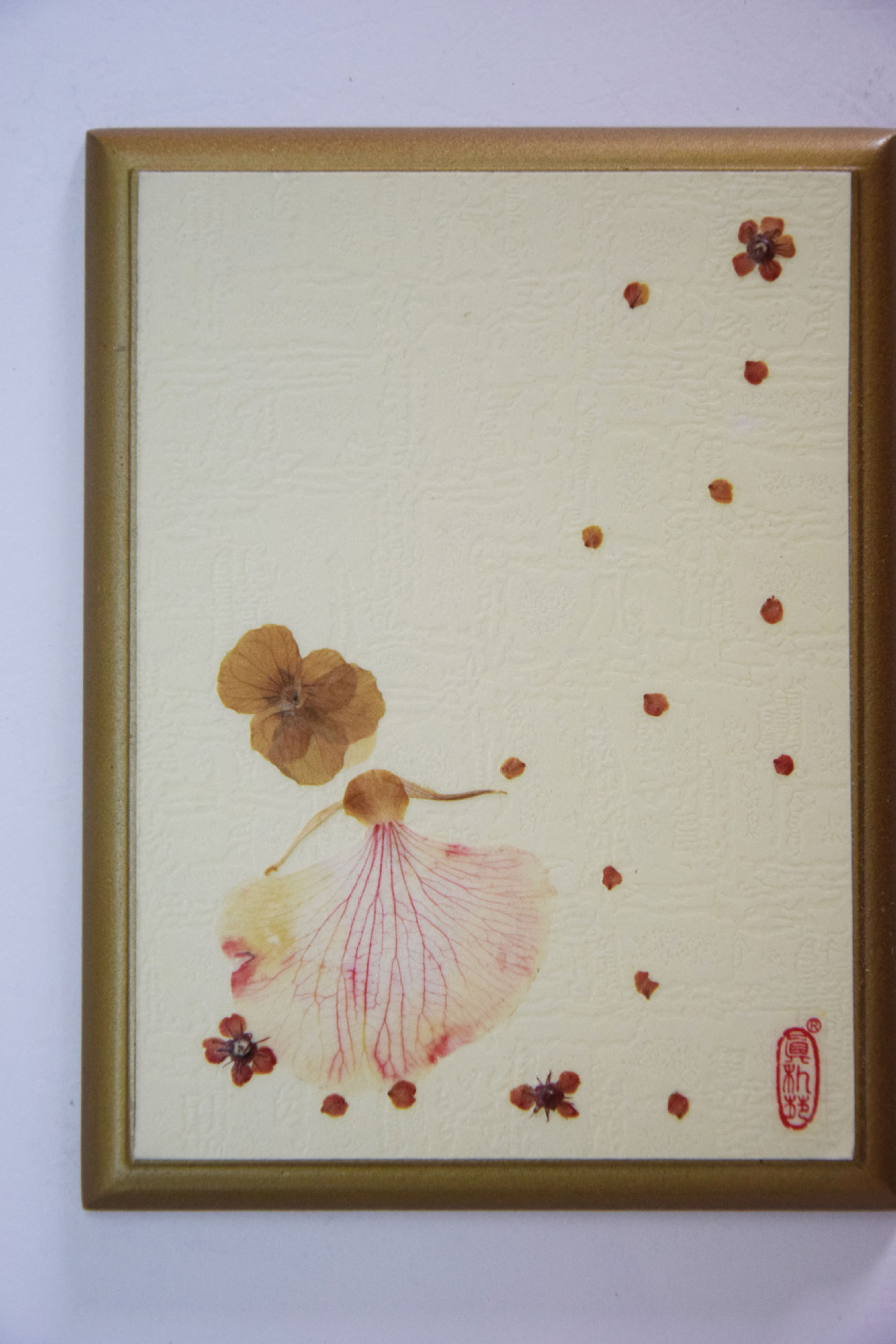 真朴苑天然植物压花押花干花装饰押花裱画板办公室书房摆设可多选