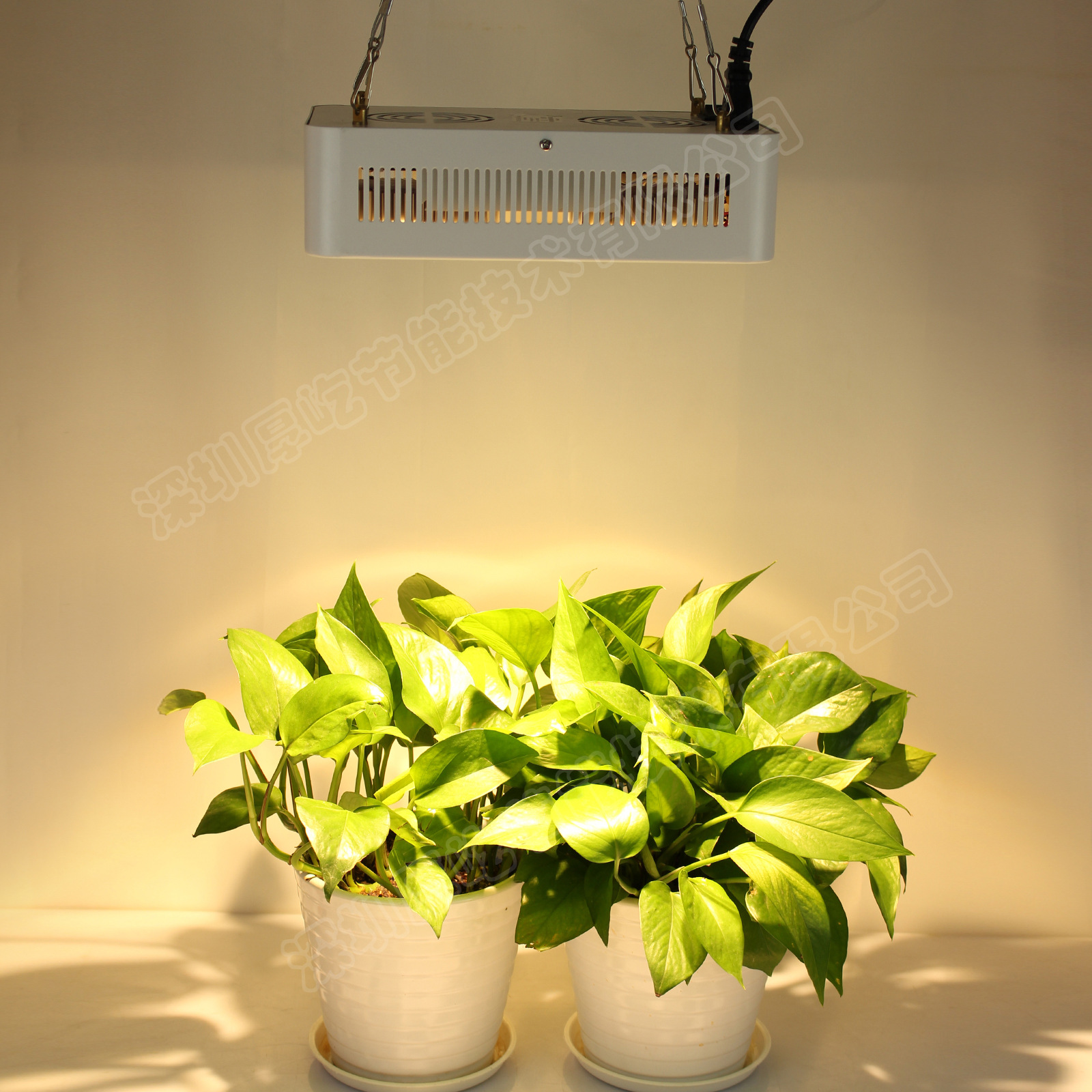 科瑞cree led植物灯 400w