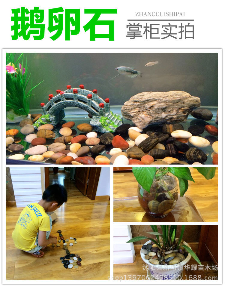 彩色小石子 雨花石 鹅卵石 鱼缸盆栽装饰彩石头 多肉植物水培铺面