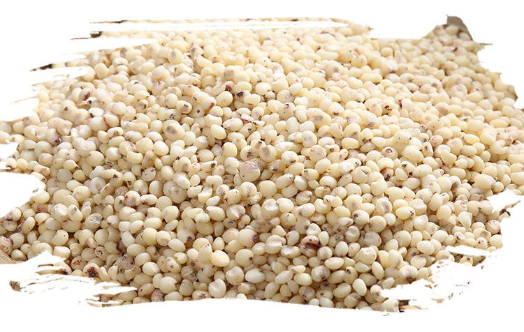 低温烘焙白高粱米 散装东北特产杂粮 农家自产食用五谷杂粮批.