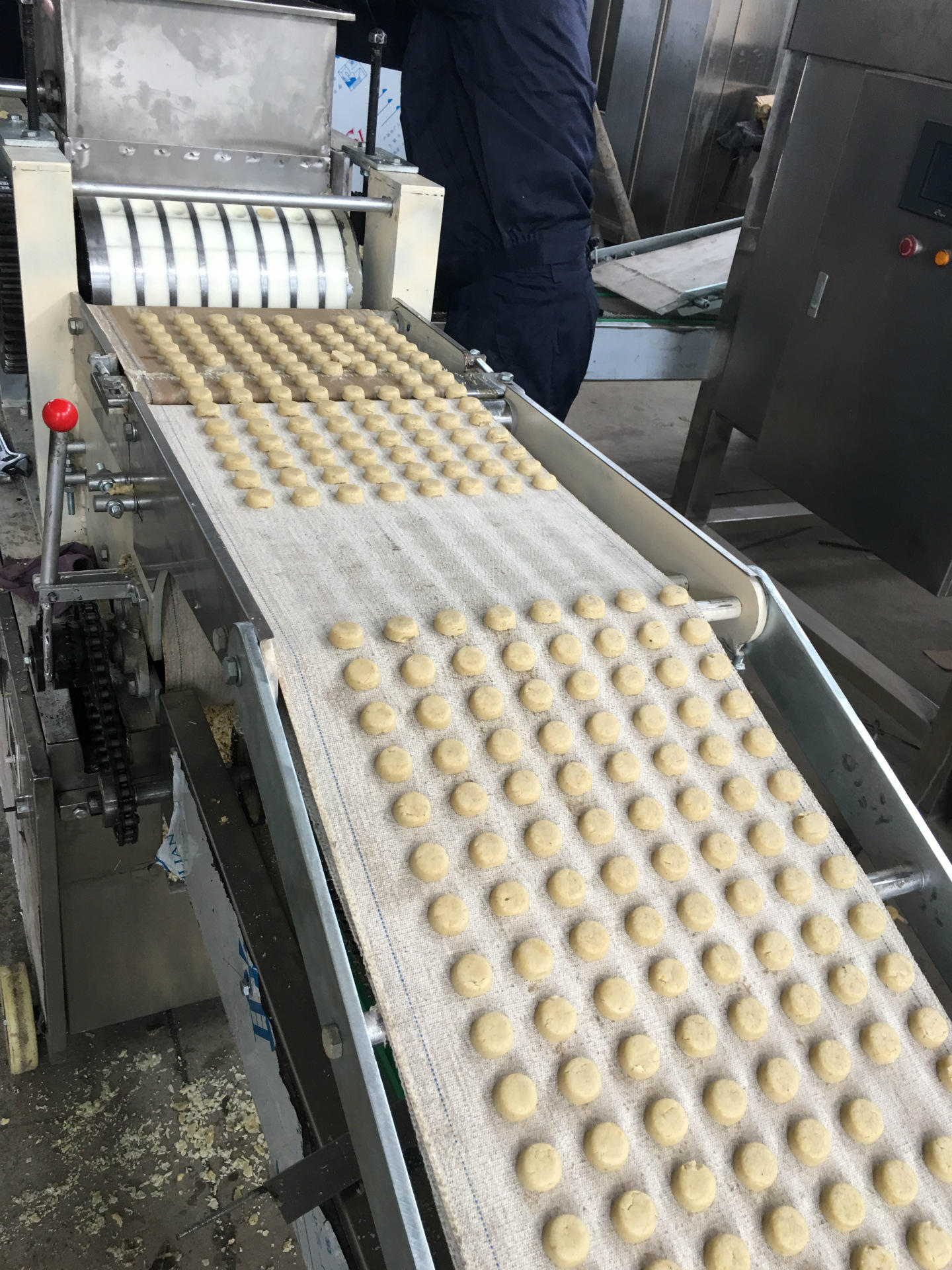 厂家定制供应桃 酥性 食品饮料加工设备 休闲饼干糕点设备