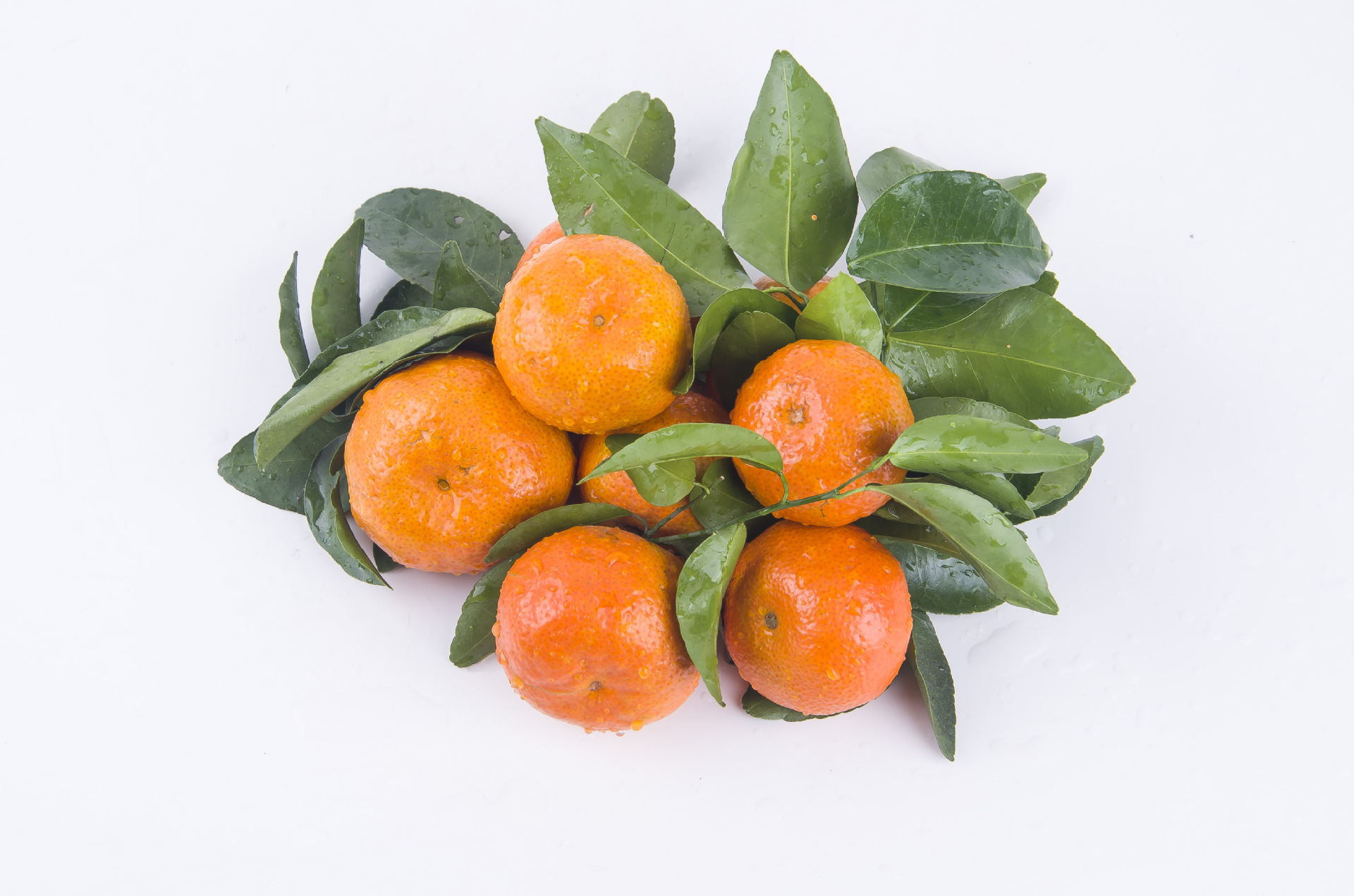 产地直销砂糖桔 新鲜水果 绿色农产品 批发大量供应沙糖桔