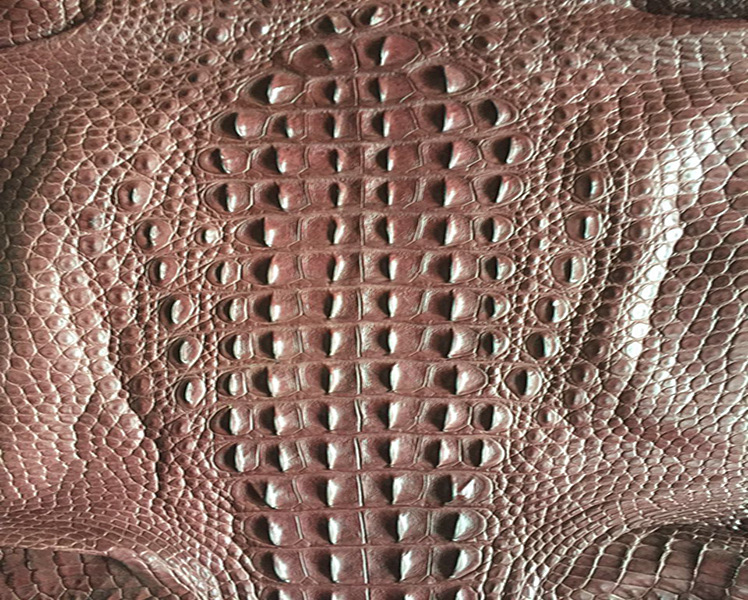 高档时尚 真鳄鱼皮 花皮