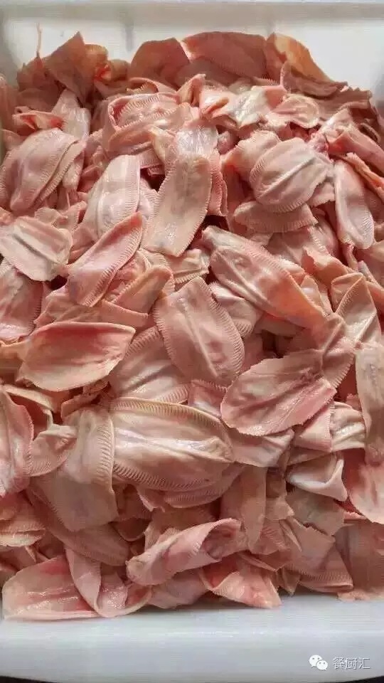 供应冷冻雁鹅唇 鸭唇 鹅天堂 鹅唇 鸭嘴皮 酒店特色食材