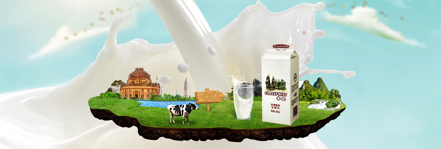 卡士酸奶 佐餐 风味发酵乳 500ml 酒店专品 24瓶每箱 欧洲口味