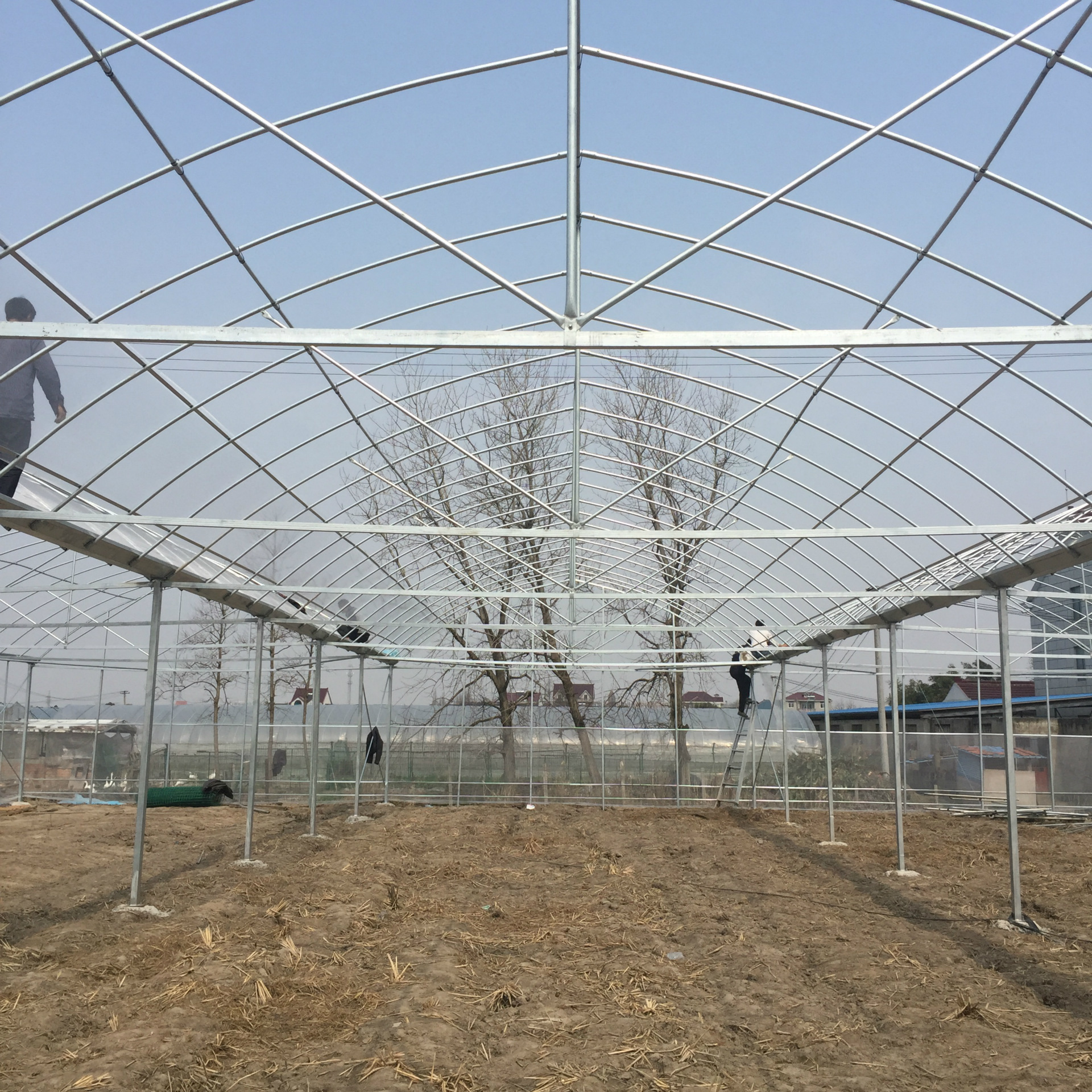 简易拱棚大棚骨架镀锌钢管大棚骨架蔬菜大棚温室大棚