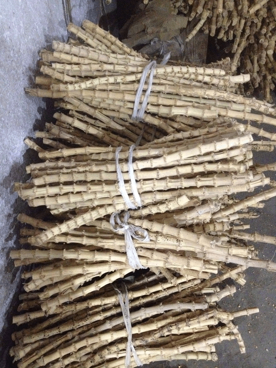 潜东竹木工艺品细竹鞭水竹根工艺原料大量批发