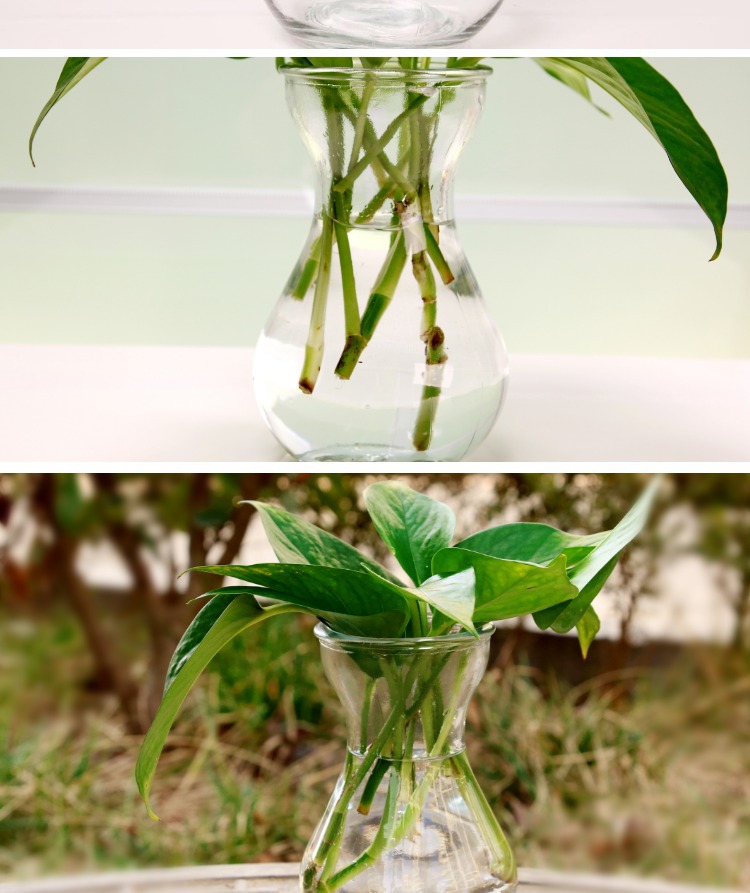 风信子透明玻璃水培容器 水仙花瓶 玻璃花盆水培瓶插植物器皿