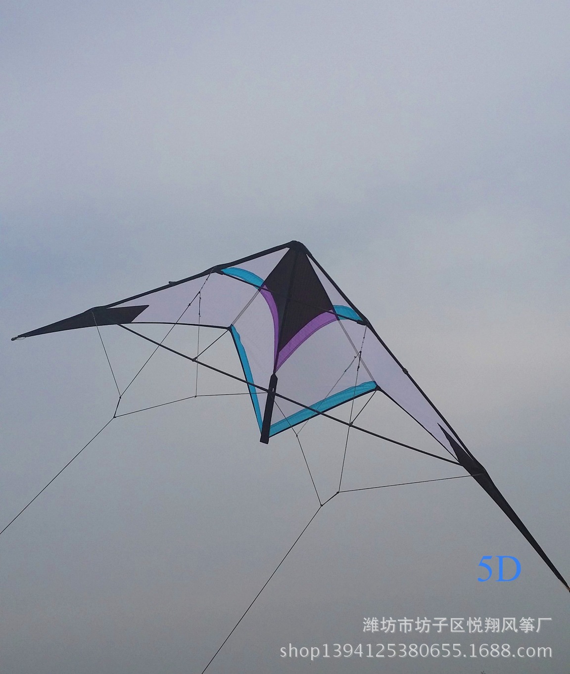 潍坊风筝批发 悦翔风筝 翻滚风筝 5d 2代