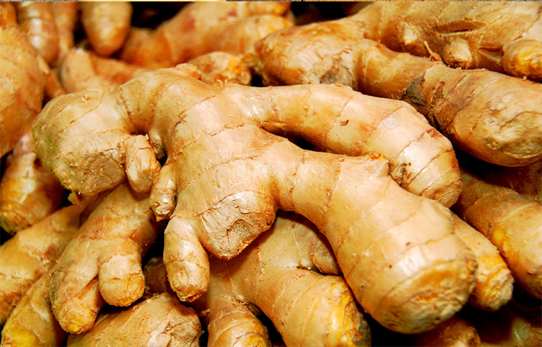 新店促销有机安徽土姜 农家自种新鲜土姜 产地稳定直供 量大.