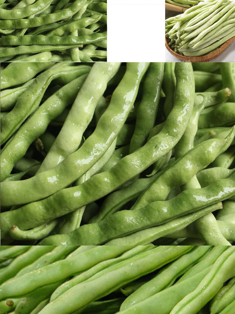 基地直销新鲜健康食品原生态峨眉本地四季豆新鲜蔬菜