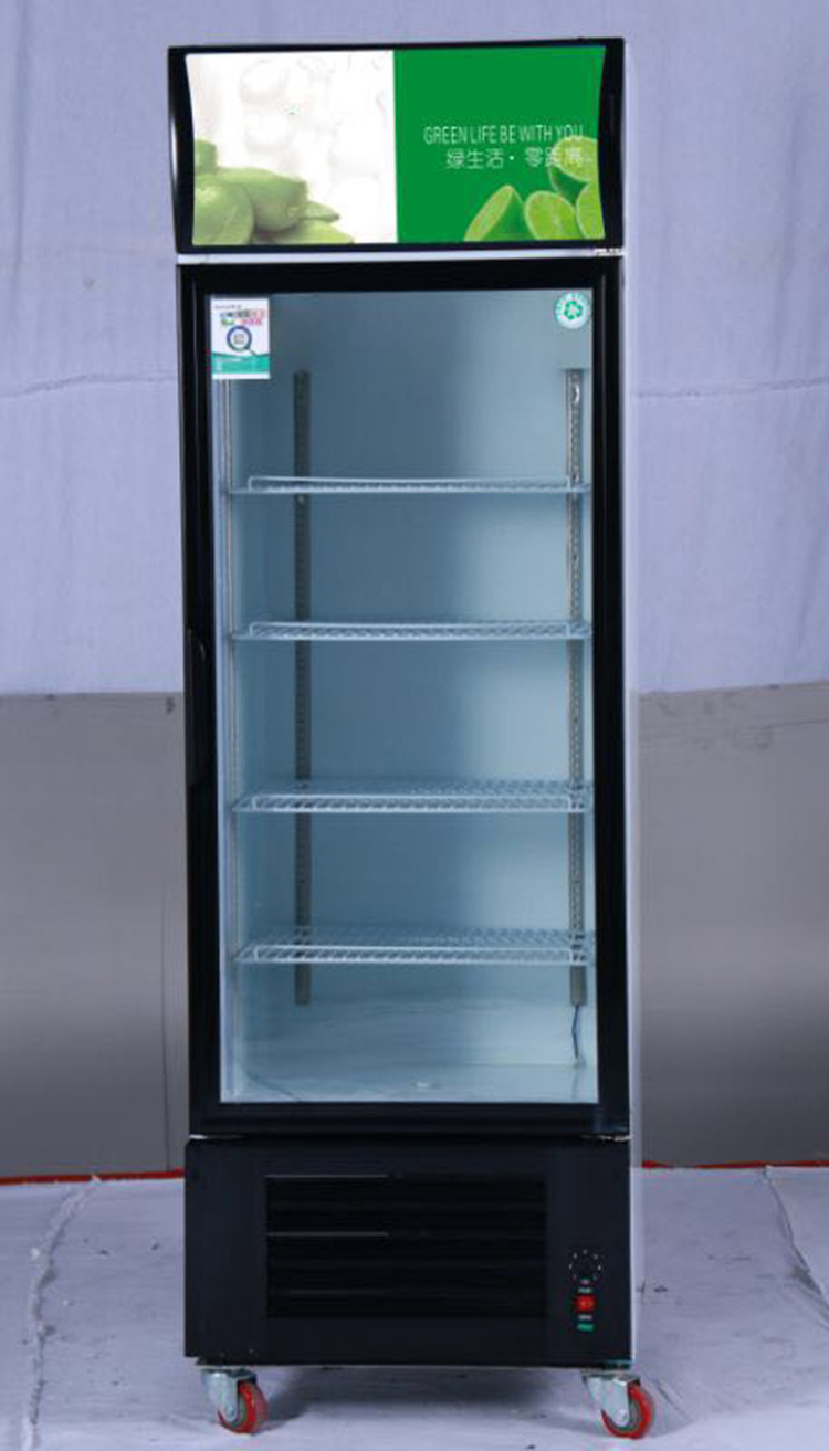 双门展示柜 直供节能环保冷藏陈列柜 酒吧咖啡店食品饮料保鲜.