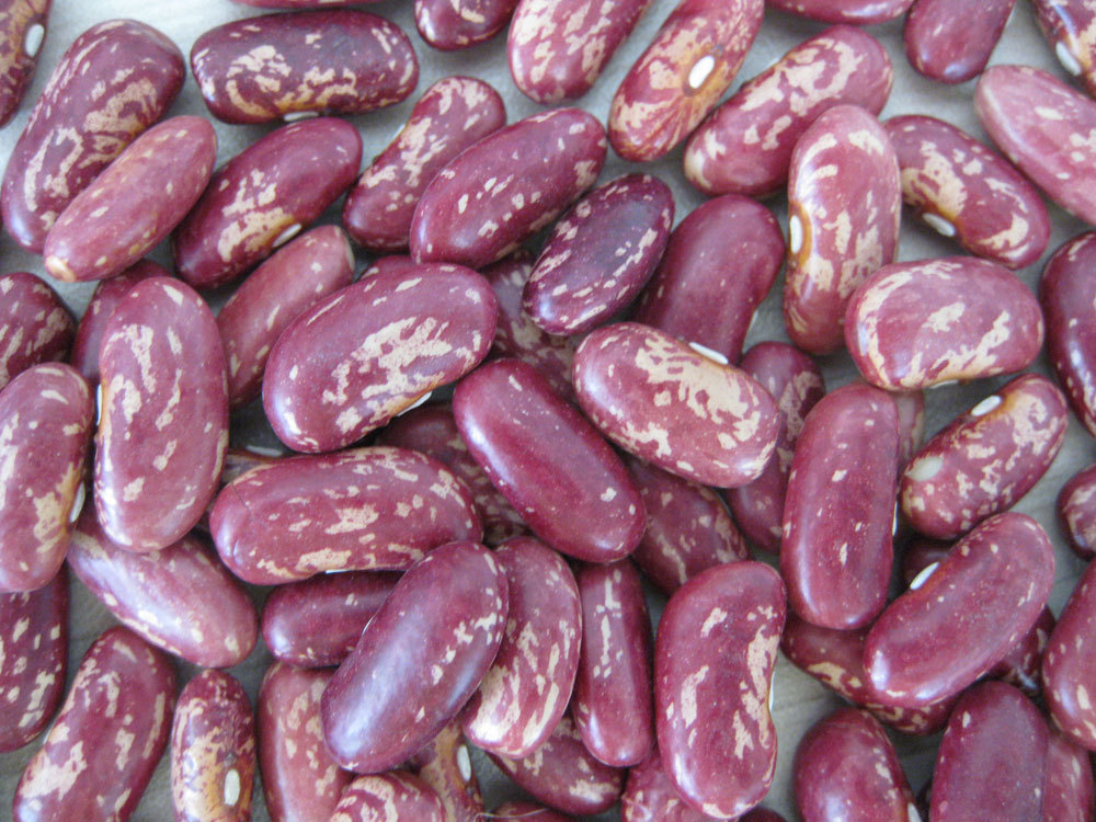 健康度夏人人都需要这六种豆