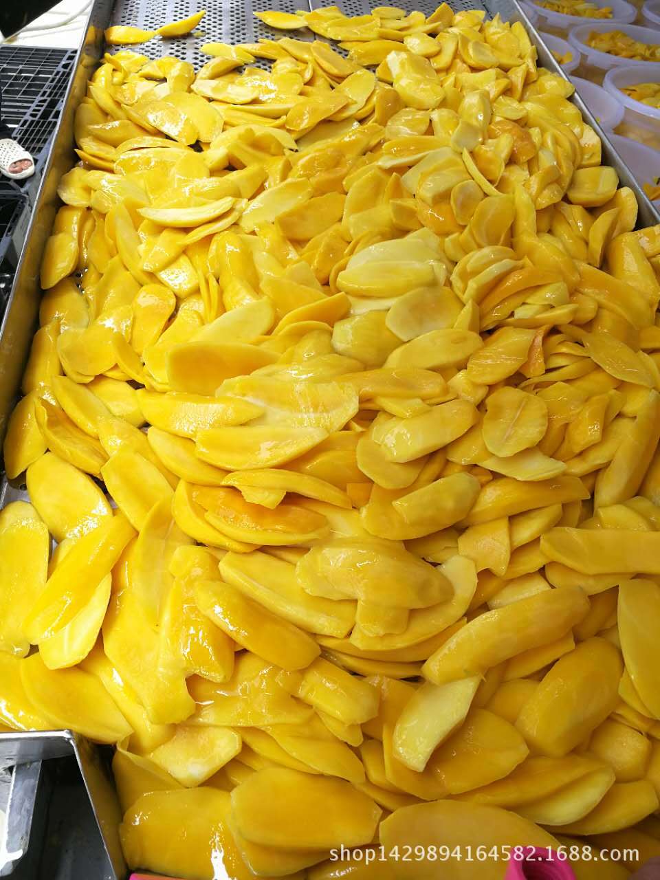 芒果干加工的第三道工序:糖渍.芒果干加工的第四道工序:烘干.