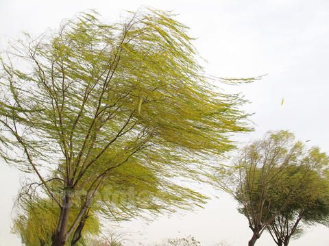 方寸间资讯_行业猛刮"绿色"风 门窗企业如何把握方向?