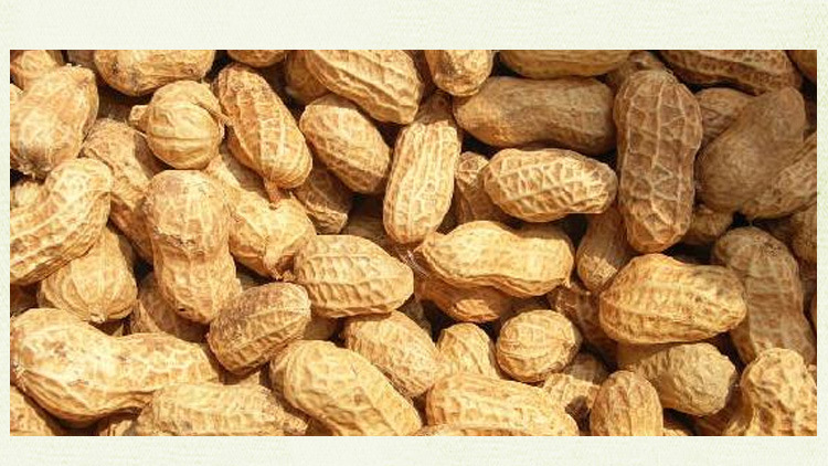 母氏 五香花生米50g 潼南特产 双江五香花生米