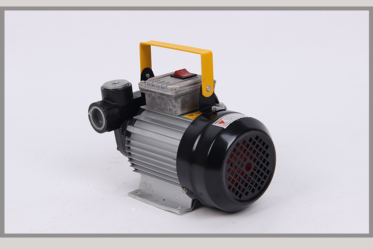 厂家直销卧式直流自吸泵 自吸微型油泵 220v柴油泵