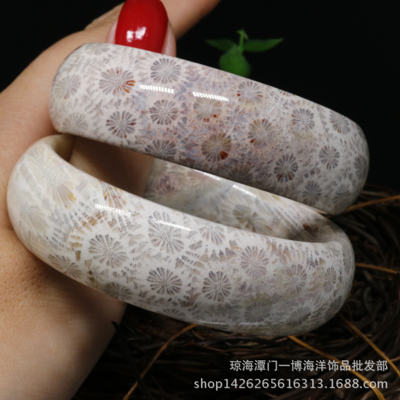批发天然菊花石手镯高档珊瑚玉手镯多彩珊瑚虫化石内径5262mm
