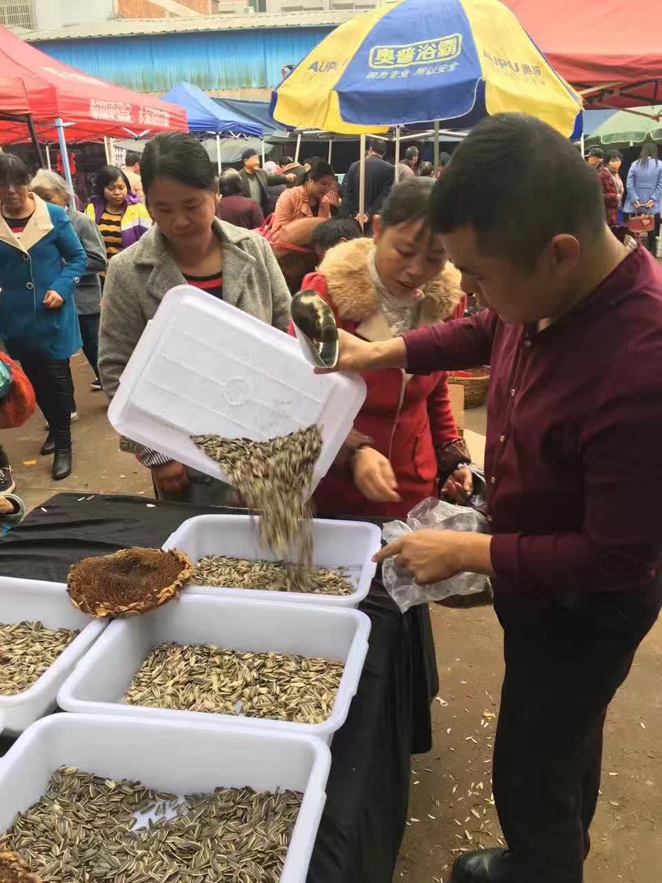 厂家直销奶油五香瓜子 江湖地摊展销会热卖炒货葵瓜子散装批发 - 食品