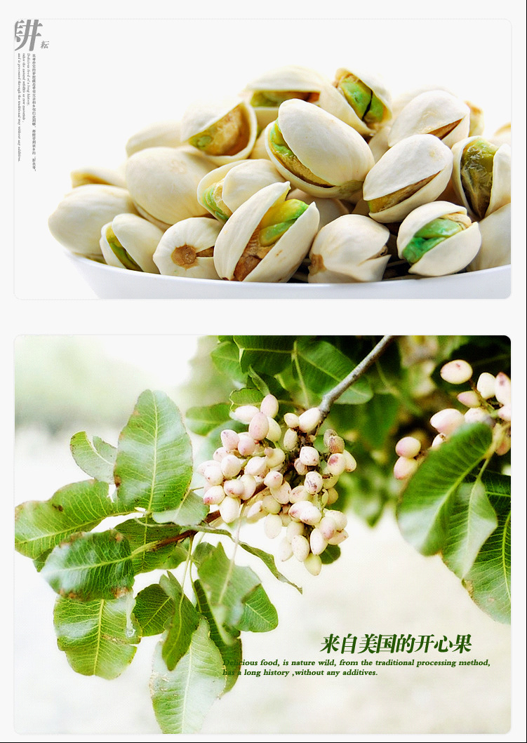 新疆特产 美味拌嘴零食 一级开心果 盐焗开心果 散货坚果500克