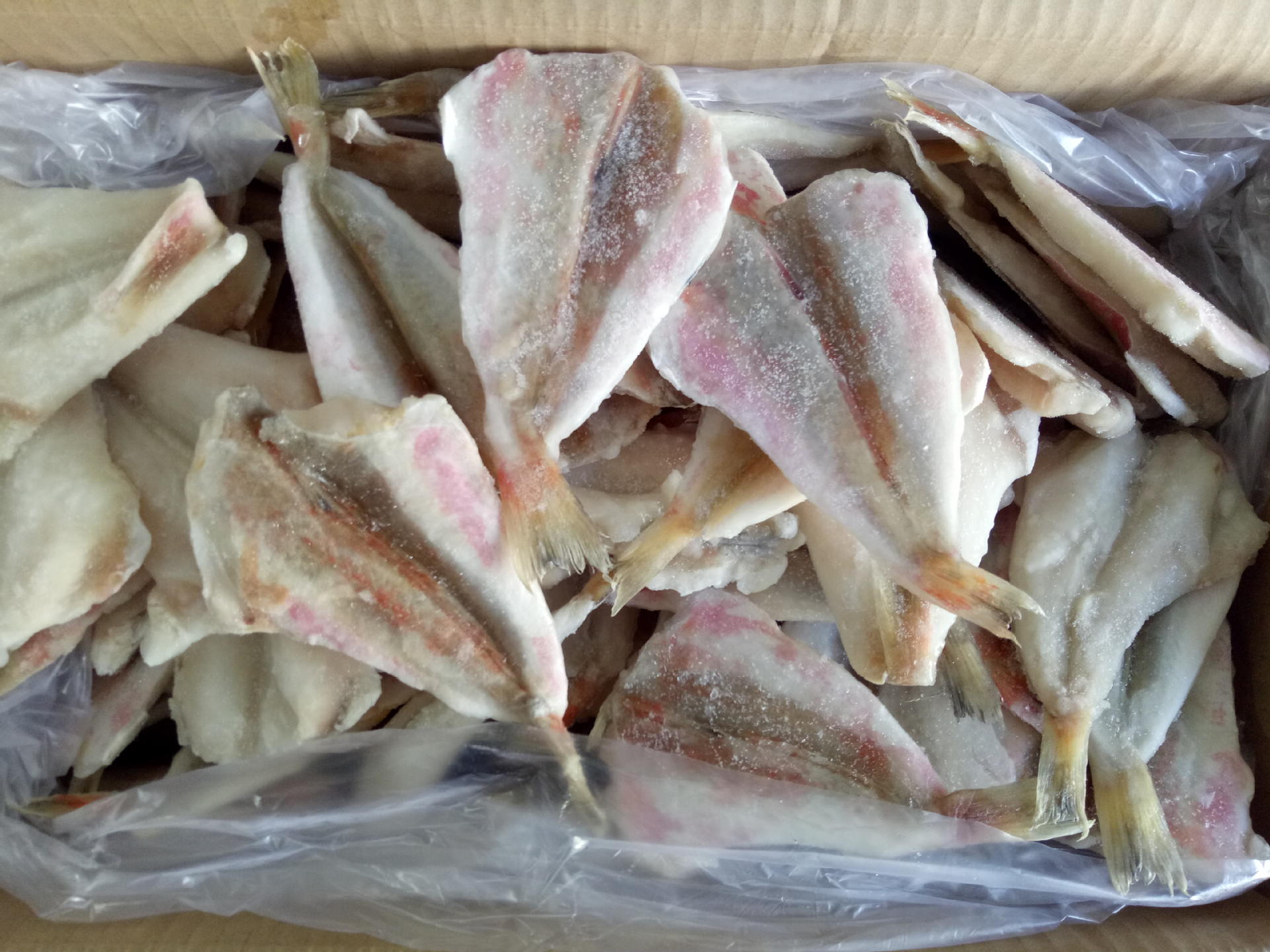 冷冻红娘鱼片红鱼片红娘鱼自助餐厅酒店烧烤专用食材量大从优